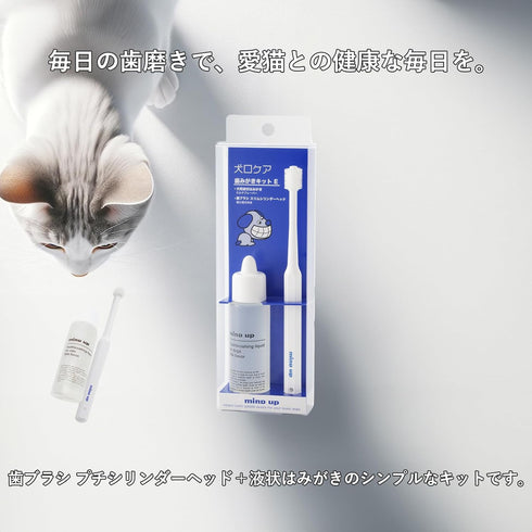Cat Mouth Care Toothbrush Kit C (Petit Cylinder Head)...
