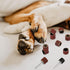 22 Pet Nail Grinder Replacement Kit with Grit Sanding Bands Pet Nail Smoother Dog Claw Care Black Grinding Drums Dog Nail Grinder Replacement Dog ...