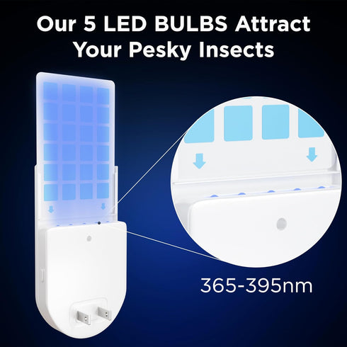 MiniMax Plug in Fruit Fly Traps for Indoors! A Flying Insect Trap with UV LED Bulbs & 5 Glue Board Refills! Gnat Trap used as a Fruit Fly Killer, ...