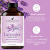 Handcraft Blends Lavender Essential Oil – Huge 4 Fl Oz – 100% Pure and Natural – Premium Grade Essential Oil for Diffuser and Aromatherapy, Skin, ...
