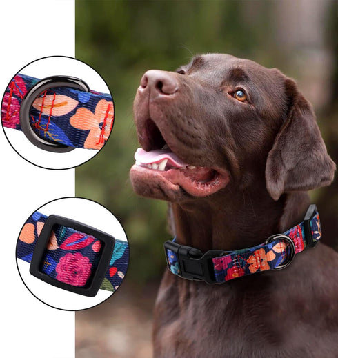 Rhea Rose Dog Collar for Large Dogs Special Design Cute Black Floral Plant Pattern Girl Female Pet Collar (Black, L)...
