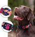 Rhea Rose Dog Collar for small Dogs Special Design Cute Floral Plant Pattern Girl Female Pet collar (Black, S)...