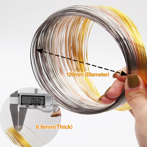 EuTengHao Jewelry Memory Wire Stainless Steel Craft Wire for Jewelry Making Necklace Bracelet Ring Earring Crafts Supplies DIY Jewelry Making Wire...
