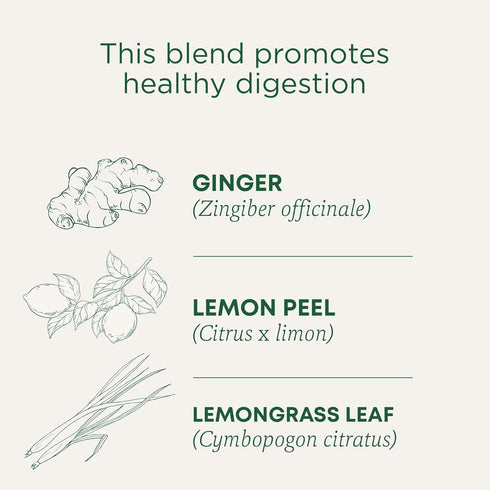Traditional Medicinals Organic Lemon Ginger Tea, 1.13 Oz, 16 Count...