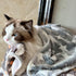 1 Pack 3 Puppy Blankets Cat Dog Blankets Super Soft Warm Sleep Mat Grey Star Cute Print Blanket Fluffy Fleece Pet Blanket Flannel Throw for Small ...
