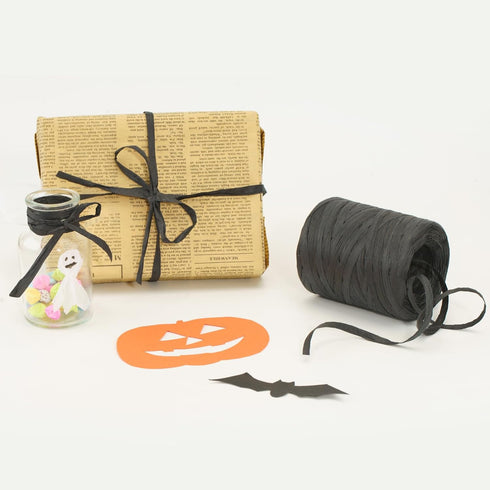 G2PLUS 218 Yards Raffia Paper Craft Ribbon, 1/4 Inch Wide Raffia Ribbon for Gift Wrapping, Black Raffia Ribbon Packing Twine String for DIY Arts &...