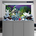 AWERT 36x18 inches Aquarium Background Seagrass Aquarium Background Stone River Bed & Lake Fish Tank Background Vinyl Background...