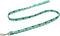 Lionet Paws St Patricks Day Dog Leash Matching Dog Collar for Small Medium Large Dog...