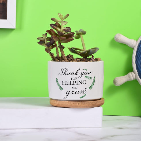 Teacher Appreciation Gift, Thank You for Helping Me Grow Ceramic Succulent Plant Pot Planter for Indoor Outdoor Use, Best Teacher Birthday Retirem...