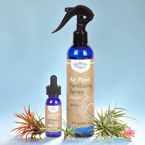 Air Plant Fertilizing Spray by Southside Plants - Fertilizer Mist for Houseplants, Weekly Plant Food - Gentle Mist Formula for Miracle Feed & Grow...