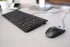 Cherry Corded Mouse. Simple Durable and Reliable Office Mouse. 3-Button with Scroll Wheel. USB Plug N Play. MC 1000...
