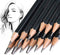 Graphite Sketching Drawing Pencils Writing Pencil for Drawing Art Pencils Shading Pencils Beginners & Pro Artists...
