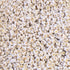 DAHI 1000pcs gold letter beads Acrylic Alphabet Beads A-Z Letter Beads for Jewelry Making Alphabet Beads (round gold white)...