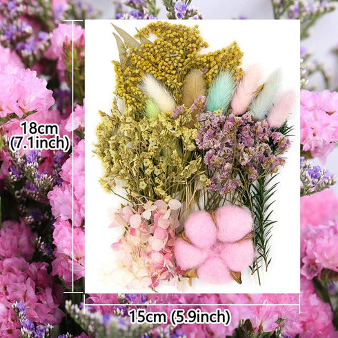 Vignee Real Dried Pressed Leaf Flowers-Multiple Colorful Pressed Flowers Daisies for Craft Resin Jewelry Making Art Craft DIY and Soap Candle Scra...