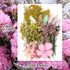 Vignee Real Dried Pressed Leaf Flowers-Multiple Colorful Pressed Flowers Daisies for Craft Resin Jewelry Making Art Craft DIY and Soap Candle Scra...