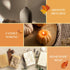 Pumpkin Pie Fragrance Oil 4 Fl Oz (120ml), ARVIDSSON Pumpkin Spice Essential Oil, Natural Pumpkin Pie Oil for Diffusers, Fall Essential Oil for Ca...