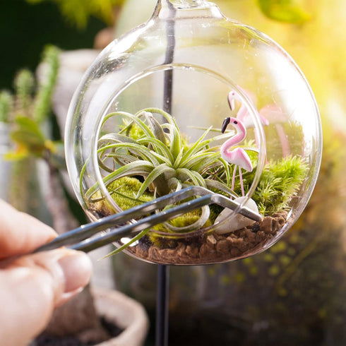 FOMIYES 5pcs gardening tweezers bonsai tool kit bejeweled kit mini succulent plants stamp collector tools miniature gardening succulent tools kit ...