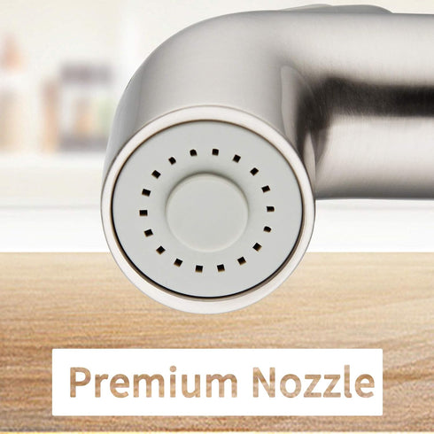 Houtingmann Kitchen Side Sprayer with Hose and Holder - Sprayer with 17 Adapters, Brushed Nickel...