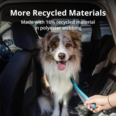 Ruffwear, Front Range Short Traffic Leash with Padded Handle, 15-inch (38cm) Durable Short Dog Lead for Training and Walking, Basalt Gray...