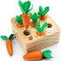 Montessori Toys for 1 Year Old, Wooden Toys Developmental Shape Sorting & Matching Puzzle Carrots Harvest Game, Birthday Gifts for Toddlers Babies...