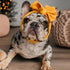 KUDES 2 Pack Pet Cute Bow Headbands Stretchy Bow Headgear Polyester Bow Headdress Handmade Head Cover for Dog Cat Puppy Bathroom Hair Accessories ...