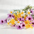 10pcs Artificial Daisy Flowers Flower Arrangements for Home Hotel Office Wedding Party Garden Craft Art Decor Each Approx 21" High No Vase White...