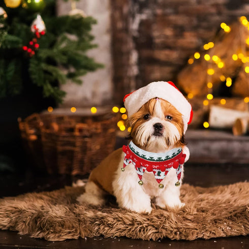 Christmas Dog Collar with Bells,Holiday Dog&Cat Knitted Jingle Dress,Pet Costume Bandana Scarf for Puppy Kitty (S)...