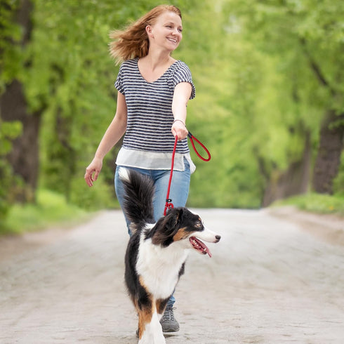 4pcs Dog Slip Lead 5ft Slip Lead Leash No Pull Training Leash for Small Medium Dogs Walking Running Training...