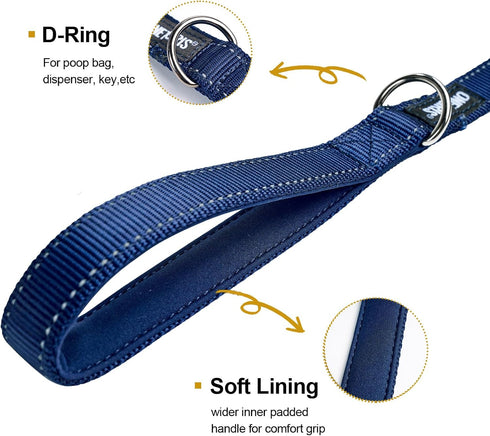 OneTigris Handled No-Pull Dog Walking Leash Long Traffic Leads for Medium to Large Dogs (Blue, 6FT)...