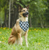 Dog Bandana, Little Sister Dog Bandana, Dog Scarf Classical Plaid Printing, Dog Scarf Accessories, Dog Bandana Pet Scarf, Pet Baby Announcement Sc...