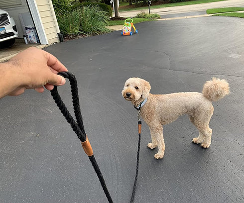 2 FT Short Dog Leash, Soft Strong Braided Leash with Leather Tailor Connection Pet Rope Leash for Small Medium Large Dogs (24 Inch x 1/2'')...