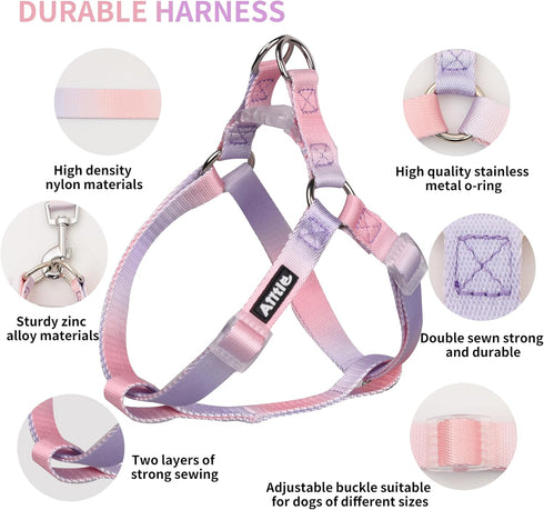 AIITLE No Pull Small Dog Harness and Leash Set - Escape Proof/Quick Fit Dog Halter Harness,Easy for Training Walking - Sturdy Transparent Buckle -...