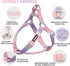 AIITLE No Pull Small Dog Harness and Leash Set - Escape Proof/Quick Fit Dog Halter Harness,Easy for Training Walking - Sturdy Transparent Buckle -...