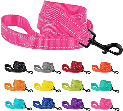 CollarDirect Nylon Dog Leash 5ft for Daily Outdoor Walking Running Training Heavy Duty Reflective Pet Leashes for Large, Medium & Small Dogs (L, P...