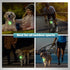 LEIFIDE 4 Pack Dog Collar Lights for Night Walking Rechargeable LED Pet Lights Waterproof Dog Safety Collar Lights for Pets Running Climbing Campi...