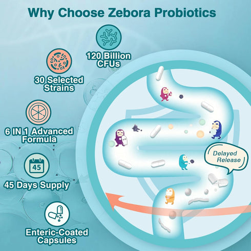 ZEBORA Probiotics for Women-Men Digestive Health with 120 Billion CFUs, Mens-Womens Probiotic Gut Health and Immune Support with 45 Days Supply, 9...
