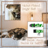 Country Brook Petz - Urban Camo Cat Collar - Camouflage Collection Featuring Rugged Designs...