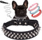 Spiked Dog Collar Soft Pu Leather Mushrooms Rivet Spike Studded Puppy Adjustable Pet Collars for Small Breeds (S, Black Set)...
