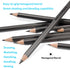 Dyvicl Professional Drawing Sketching Pencil Set - 12 Pieces Drawing Pencils 10B, 8B, 6B, 5B, 4B, 3B, 2B, B, HB, 2H, 4H, 6H Graphite Pencils for K...