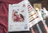 Luca-S Cross Stitch Kit - The Birds- Spring, B2420, Counted Cross Stitch Kit for Adults, Embroydery Kit...