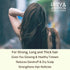 Herbal Hair Oil Ayurvedic Raw Herbs Mix Oil Multipurpose Hair Oil for Hair Growth and Anti Dandruff, Hair Fall Control, Thick and Long Hair 100ml...