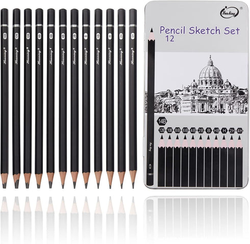 Sketch Pencils for Drawing,12 Pack Drawing Pencils, Art Pencils, Graphite Pencils, Art Pencils for Drawing and Shading, Sketching, Artist Pencils ...