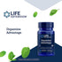 Life Extension Dopamine Advantage - Phellodendron Bark Extract Supplement with Vitamin B12 - for Youthful Dopamine Levels and Brain Health - Glute...
