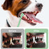 2 Pack Dog Toothbrush Pet Toothbrush Cat Tooth Brush Puppy Toothbrush Mini Head Soft Dog Tooth Brush Deep Clean Kit, Portable Travel Friendly and ...