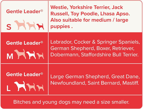 Beaphar | Gentle Leader | Head Collar for Small Dogs | Stops Pulling On The Lead | Training Aid with Immediate Effect | Endorsed by Behaviourists ...