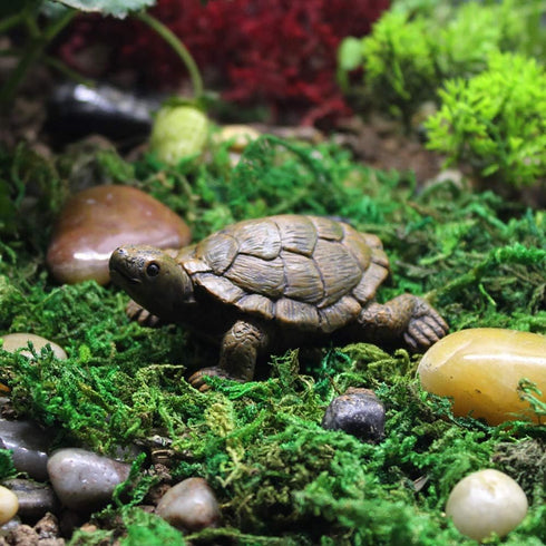 MAOMIA 2 Pcs Miniature Turtle Figurines, Fish Tank Decoration Fairy Garden Teutle Landscape Decor Ornament...