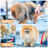 Pet Dematting Comb for Dogs,Cats.Pet Undercoat Rake with Stainless Steel Blades for Knot Removal and Shedding Control.Cat Brush for Shedding Demat...