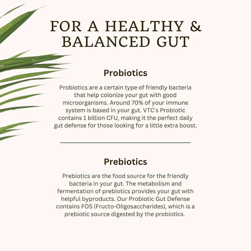VitaTradingCo. Probiotic Gut Defense | Probiotics and Prebiotics for Gut Health & Digestion | 1 Billion CFU with Whole Food Base | 90 Capsules...