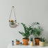 Sloth Ceramic Planter Pot, Succulent Hanging Planter, Sloth Hanging Plant Holder, Indoor Succulent Pot Planter Modern Flower Planter (Gray)...