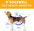 Dogswell Gut Health Slices Functional Dog Treats, Chicken 8 oz. Bag...